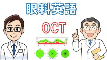 眼科検査の英語表現を徹底解説！自動音声読み上げ機能付き【⑥光干渉断層計OCT編】視能訓練士・看護師必見！