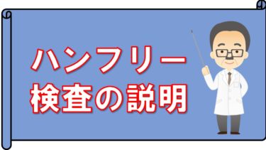 視野検査の準備・説明・注意点を解説【視能訓練士初級】②検査の説明
