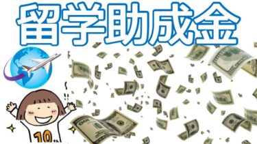 日本の医療系海外研究留学助成金約30選！これから・すでに留学している研究者必見【眼科限定留学助成金もご紹介】
